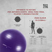 Imagen de Fitball Antiburst 45 cm