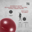 Imagen de Fitball Antiburst 55 cm