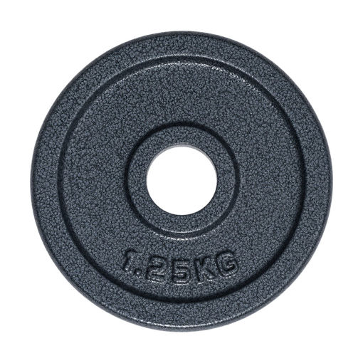 Imagen de Disco Fundición 1.25kg 30mm
