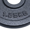 Imagen de Disco Fundición 1.25kg 30mm