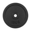 Imagen de Disco Fundición 10kg 30mm