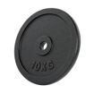Imagen de Disco Fundición 10kg 30mm