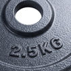 Imagen de Disco Fundición 2.5kg 30mm