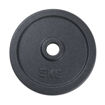 Imagen de Disco Fundición 5kg 30mm