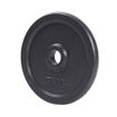 Imagen de Disco Fundición 5kg 30mm