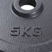 Imagen de Disco Fundición 5kg 30mm